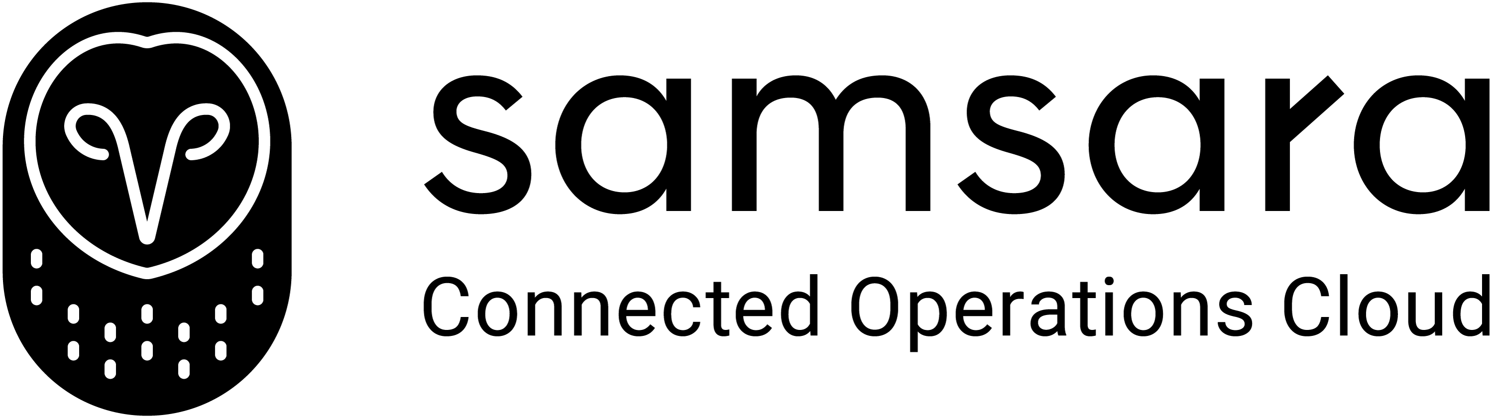 Samsara company icon